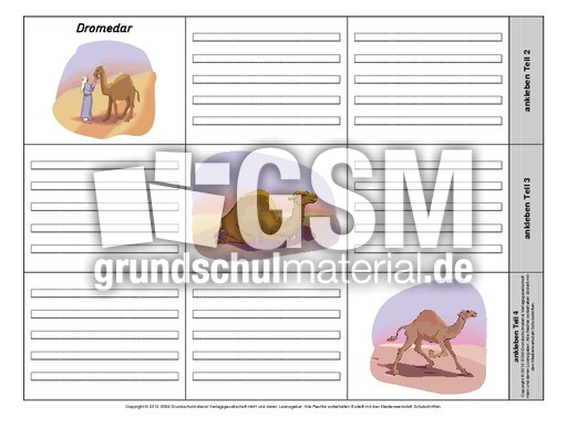 Leporello-Dromedar-1-1-2.pdf